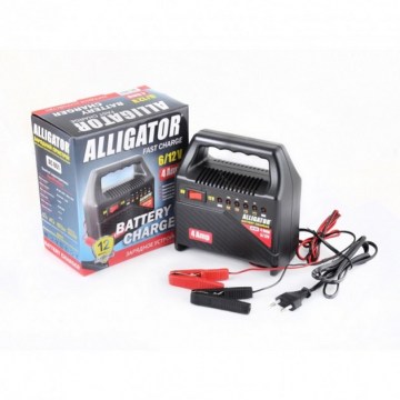 Зарядное устройство Alligator AC801  (2)
